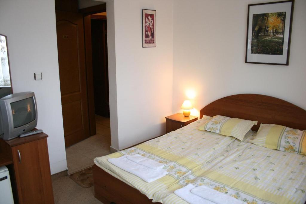 Korina Sky Hotel Bansko Bilik gambar